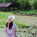 莫奈花园农庄 - 海东市旅游 缩略图 6