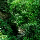 清水溪步道 - 重庆市旅游 缩略图 5
