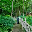 清水溪步道 - 重庆市旅游 缩略图 4