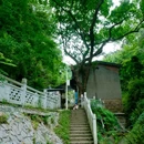 清水溪步道 - 重庆市旅游 缩略图 6
