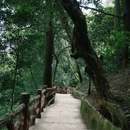 高堂寺 - 成都市旅游 缩略图 9