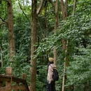 都江堰新华海颐·御垒山居酒店 - 成都市旅游 缩略图 3