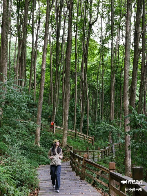 都江堰新华海颐·御垒山居酒店 - 成都市旅游