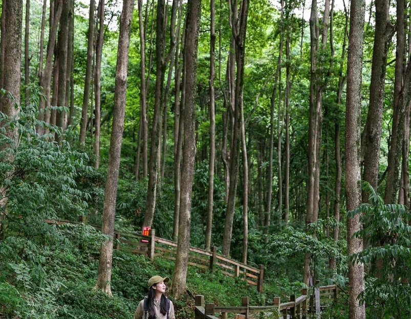 都江堰新华海颐·御垒山居酒店 - 成都市旅游 1