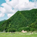 狮子沟牧场 - 汉中市旅游 缩略图 7