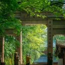 老峨山 - 眉山市旅游 缩略图 2