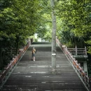 老峨山 - 眉山市旅游 缩略图 7
