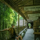 老峨山 - 眉山市旅游 缩略图 6