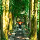 蒙顶山风景名胜区 - 雅安市旅游 缩略图 1
