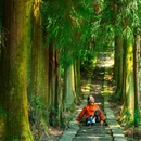 蒙顶山风景名胜区 - 雅安市旅游 缩略图 6
