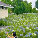 江安河畔 - 成都市旅游 缩略图 4