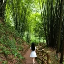 汉阳江滩公园 - 武汉市旅游 缩略图 5