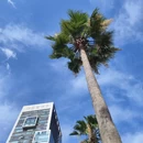 南宁市人民公园 - 南宁市旅游 缩略图 5