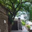 南宁市人民公园 - 南宁市旅游 缩略图 9