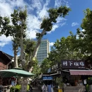 甬道街 - 昆明市旅游 缩略图 7