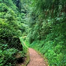 青城山玉清宫 - 成都市旅游 缩略图 2