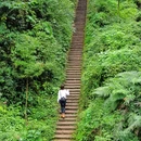 青城山玉清宫 - 成都市旅游 缩略图 1