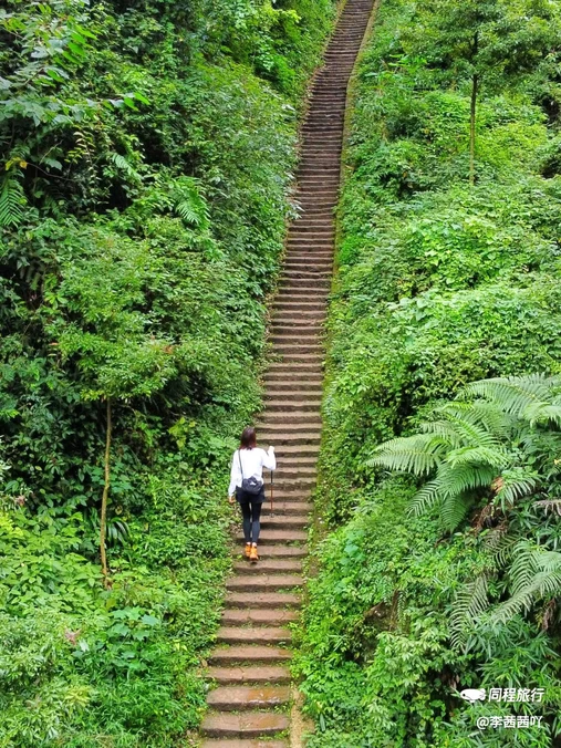 青城山玉清宫 - 成都市旅游