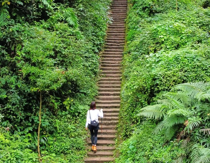青城山玉清宫 - 成都市旅游 1