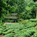 青城山玉清宫 - 成都市旅游 缩略图 4