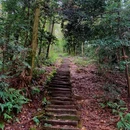 青城山玉清宫 - 成都市旅游 缩略图 8