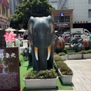 顺城购物中心 - 昆明市旅游 缩略图 5