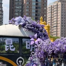 顺城购物中心 - 昆明市旅游 缩略图 8