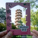 麦德龙武昌店 - 武汉市旅游 缩略图 9