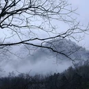 云孚里云宿·青城逅舍私汤民宿(都江堰青城后山店) - 成都市旅游 缩略图 3