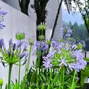 云孚里云宿·青城逅舍私汤民宿(都江堰青城后山店) - 成都市旅游 缩略图 5