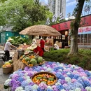 长沙世界之窗 - 长沙市旅游 缩略图 1
