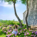成都香格里拉 - 成都市旅游 缩略图 9