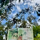 威尼斯(美国) - 美国旅游 缩略图 4