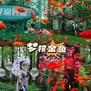 西子驿曲院风荷 - 杭州旅游 缩略图 1
