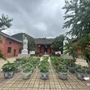 会泽逸博大酒店(会泽古城店) - 曲靖市旅游 缩略图 6