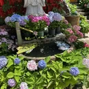 会泽逸博大酒店(会泽古城店) - 曲靖市旅游 缩略图 2