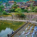 岭上人家 - 温州市旅游 缩略图 2