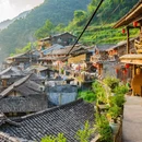 岭上人家 - 温州市旅游 缩略图 7