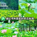 东苑公园 - 广州市旅游 缩略图 1