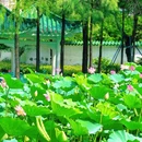 东苑公园 - 广州市旅游 缩略图 5