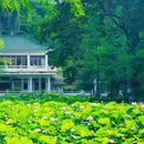 东苑公园 - 广州市旅游 缩略图 4
