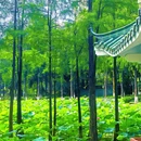 东苑公园 - 广州市旅游 缩略图 3