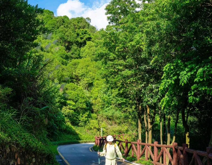 银湖山郊野径绿道 - 深圳市旅游 1