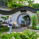 沈荡村 - 嘉兴市旅游 缩略图 8