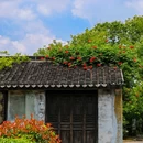 沈荡村 - 嘉兴市旅游 缩略图 7