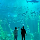济州 - 韩国旅游 缩略图 7