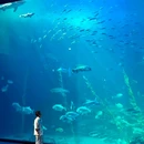 济州 - 韩国旅游 缩略图 8