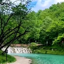喇叭河风景区 - 雅安市旅游 缩略图 2