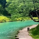 喇叭河风景区 - 雅安市旅游 缩略图 6
