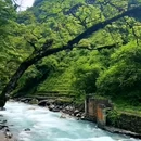 喇叭河风景区 - 雅安市旅游 缩略图 8